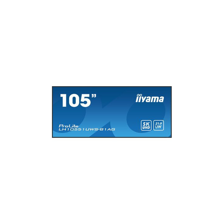 IIYAMA 105 UW 5120x2160 UW5K ips HDMI DP USB-C